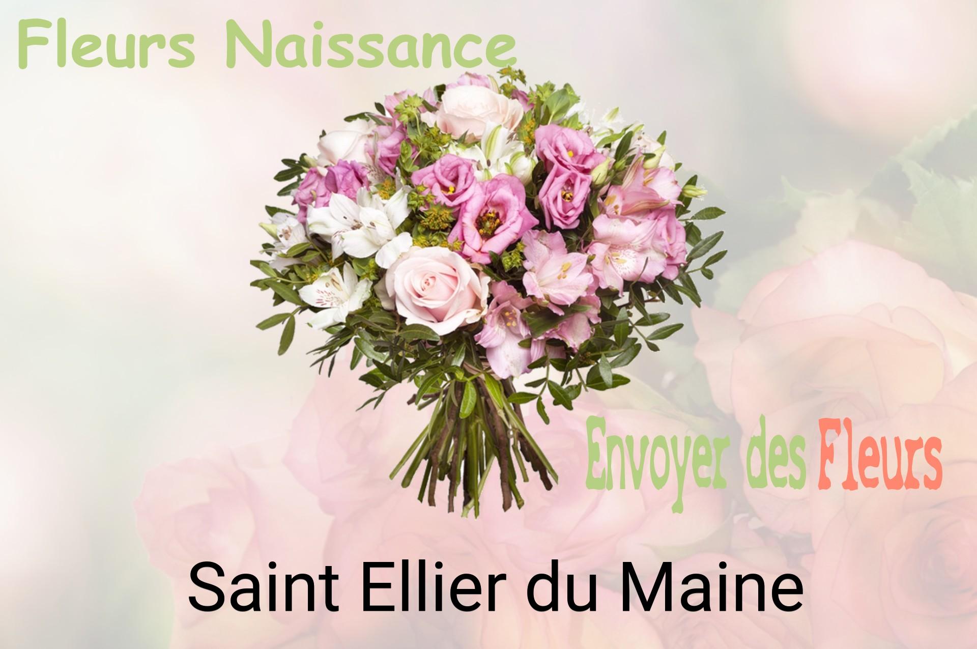 Bouquet de fleurs de naissance livré à Saint-Ellier-du-Maine